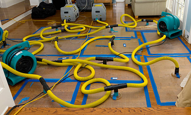 Professional Basement Flood Cleanup technician working in Marblemount, WA